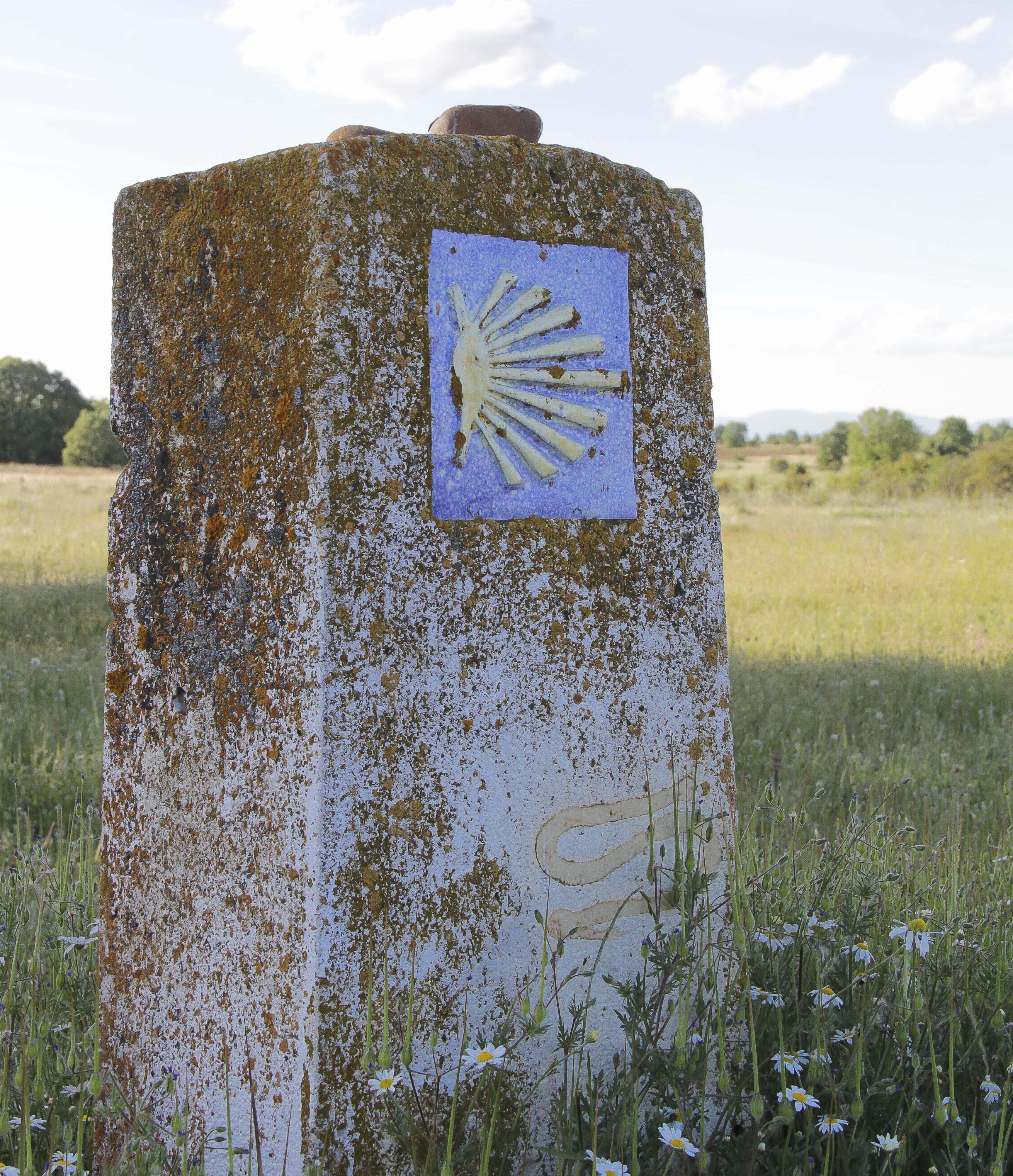 camino de santiago